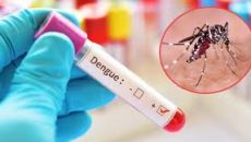 ডেঙ্গুতে আরও ৬ জনের মৃত্যু