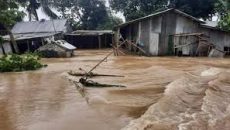 শেরপুরে বন্যায় ৩ জনের মৃত্যু