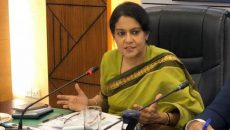 হাতি সংরক্ষণে দীর্ঘমেয়াদি কার্যক্রম গ্রহণ করব: পরিবেশ উপদেষ্টা