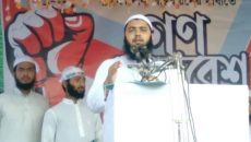 মতলব দক্ষিণে ইসলামী আন্দোলনের গণসমাবেশ