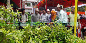 চকরিয়ায় ৩ দিনের কৃষি মেলা শুরু