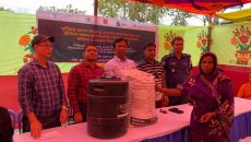 রাঙ্গাবালীতে জাতিসংঘের সহায়তায় সাইলো ও গোখাদ্য বিতরণ