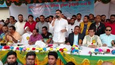 বিএনপিতে অনুপ্রবেশকারীর ঠাঁই হবে না: আমিনুল হক