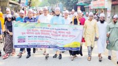 সাঁথিয়ায় নানা আয়োজনে যুব দিবস পালিত