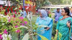 নড়াইলে শিল্পকলা একাডেমি চত্বরে সপ্তাহব্যাপী বৃক্ষমেলা শুরু