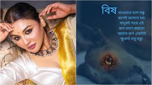 বেদনাদায়ক পোস্ট জয়া আহসানের