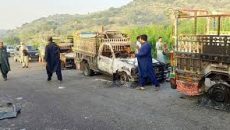 পাকিস্তানে বন্দুকধারীর গুলি, শিশুসহ নিহত ৪১