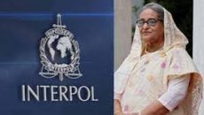 ইন্টারপোলের রেড নোটিশে পদক্ষেপ নিতে আইজিপিকে চিঠি