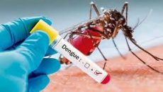 গত একদিনে ডেঙ্গুতে আরও ৭ জনের মৃত্যু