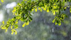 তিন বিভাগে বৃষ্টির আভাস