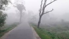 শীতে কাঁপছে তেঁতুলিয়া, সর্বনিম্ন তাপমাত্রা ১৪.৩ ডিগ্রি