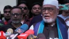 এ দেশের মানুষ গণতন্ত্র ও ভোটাধিকার চায়: কাদের সিদ্দিকী