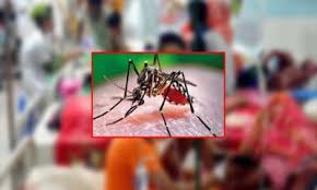 ডেঙ্গুতে গত একদিনে ৯ জনের মৃত্যু, হাসপাতালে ভর্তি ১২১৪