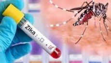 এবার ঢাকায় জিকা রোগী শনাক্ত