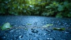 দেশের সাত বিভাগে বৃষ্টির পূর্বাভাস