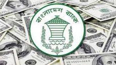 প্রবাসী আয়ে গতি এসেছে, রিজার্ভে ইতিবাচক পরিবর্তন