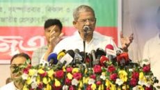 দেশে গণতন্ত্র ছাড়া অন্য কোনো কিছু চলবে না: মির্জা ফখরুল