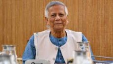 আইনজীবী হত্যার ঘটনায় সবাইকে শান্ত থাকার আহ্বান ড. ইউনূসের