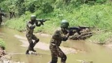 রুমায় সেনাবাহিনীর সঙ্গে বন্দুকযুদ্ধে কেএনএ’র ৩ সদস্য নিহত