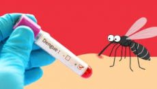 গত একদিনে ডেঙ্গুতে মৃত্যু ১০ জনের