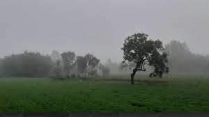 পঞ্চগড়ে তাপমাত্রা নামল ১৪ ডিগ্রিতে