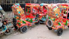 ব্যাটারিচালিত রিকশা বন্ধের আদেশ স্থগিত চেয়ে আবেদন