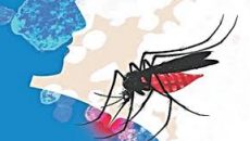 গত ২৪ ঘণ্টায় ডেঙ্গুতে আরো ৮ জনের প্রাণহানি
