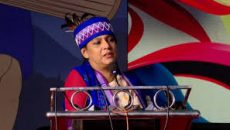 পরিবেশ রক্ষায় সবার সহযোগিতা প্রয়োজন: সৈয়দা রিজওয়ানা হাসান