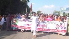 গাজীপুরে বিএনপির শোভাযাত্রা ও পথসভা