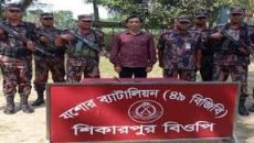 গাজীপুর মহানগর আওয়ামী লীগের সহসভাপতি বিজিবির হাতে আটক