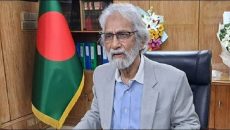 সততা ও নিষ্ঠার সঙ্গে কাজ করতে হবে: হাসান আরিফ