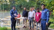 মুরাদনগরে মাটিখেকোদের বিরুদ্ধে ভ্রাম্যমাণ আদালতের অভিযান