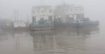 ঘন কুয়াশায় দৌলতদিয়া-পাটুরিয়ায় ফেরি চলাচল বন্ধ