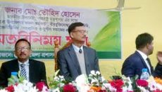 নির্বাচনের মাধ্যমে রাজনীতিবিদের ক্ষমতা দেব: উপদেষ্টা তৌহিদ হোসেন