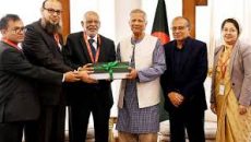 প্রধান উপদেষ্টার কাছে পদোন্নতি বঞ্চিতদের আবেদন পর্যালোচনা কমিটির প্রতিবেদন