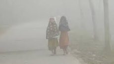 ঠান্ডা-কুয়াশায় কাহিল কুড়িগ্রাম, দুর্ভোগে মানুষ