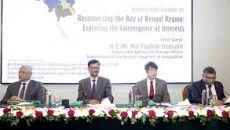 বাংলাদেশ-ভারত বোঝাপড়া থাকা দরকার: জাপানি রাষ্ট্রদূত