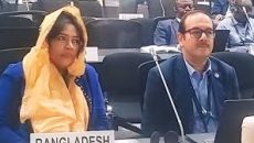 ঢাকার জলাধার পুনরুদ্ধারে আন্তর্জাতিক সহায়তা প্রয়োজন: পরিবেশ সচিব