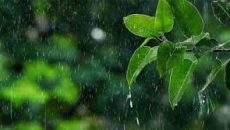 তিন বিভাগে গুঁড়ি গুঁড়ি বৃষ্টির আভাস