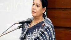 বিভেদের অপচেষ্টা চলছে, সতর্ক থাকুন: উপদেষ্টা রিজওয়ানা