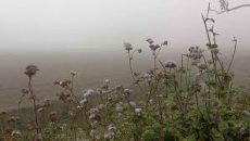 দিনাজপুরে কনকনে শীত, তাপমাত্রা ১০ ডিগ্রিতে