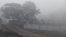 পঞ্চগড়ে তাপমাত্রা নামল ১১ ডিগ্রিতে