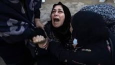 গাজায় ইসরায়েলি হামলায় আরও ৩০ ফিলিস্তিনি নিহত