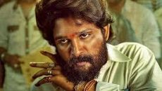 ‘পুষ্পা টু’ দেখতে গিয়ে নারীর মৃত্যু, আল্লু অর্জুনের বিরুদ্ধে মামলা