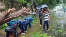 ঘূর্ণিঝড় ফেইনজাল: ভারত ও শ্রীলঙ্কায় ১৯ জনের মৃত্যু