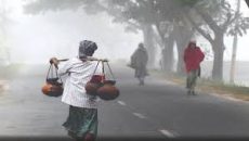 মধ্য ডিসেম্বরের পর শৈত্যপ্রবাহ, আরও বাড়বে শীত
