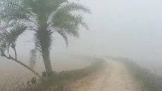 শীত ও শৈত্যপ্রবাহ নিয়ে দুঃসংবাদ দিলো আবহাওয়া অফিস