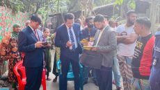 চাঁদপুর বাবা-মাকে মারধর করায় ছেলের কারাদণ্ড