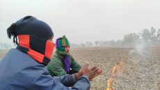 শীতে কাহিল লালমনিরহাটের মানুষ, একটানা ৪ দিন দেখা নেই সূর্যের