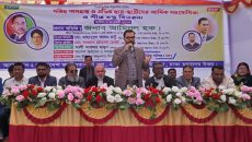 বিএনপি ধনী গরীবের ভারসাম্য রক্ষা করতে চায়: আমিনুল হক